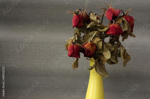 Slika na platnu wither rose, died rose