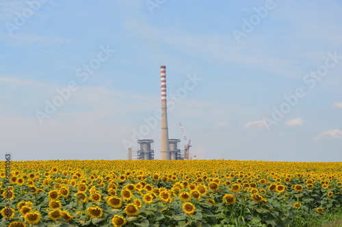 Thermal power station in Serbia - Kostolac.