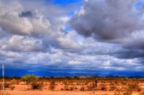 Sonora Desert