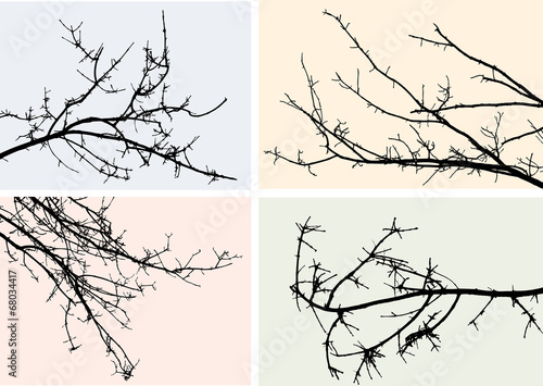 Wallpaper Mural silhouettes of branches