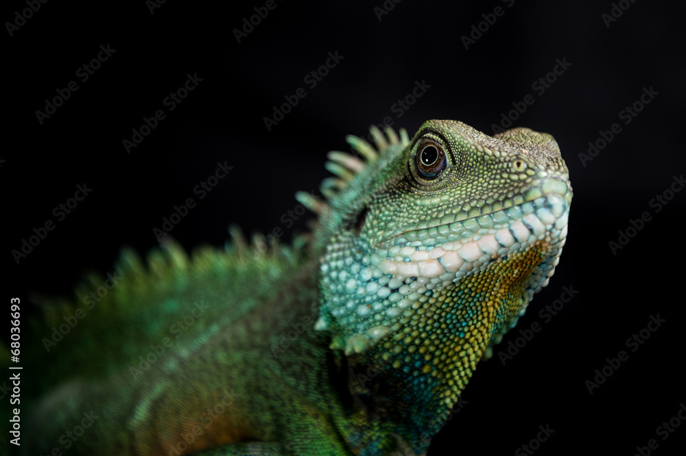 Wasseragame Wasseragame