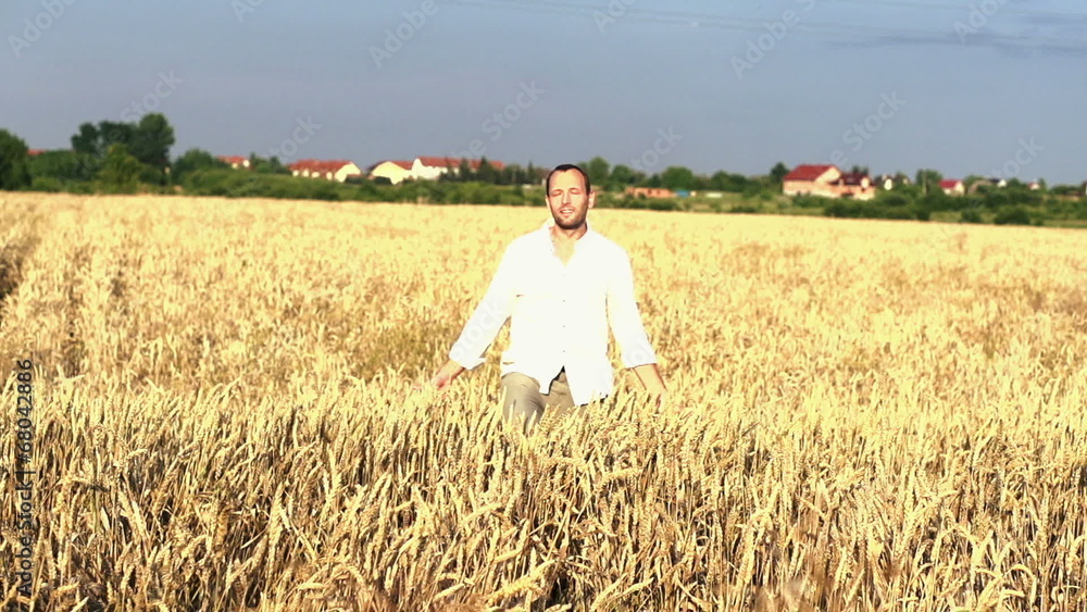 Young farmer walking through wheat field Young farmer walking through wheat field