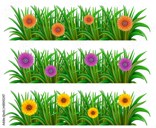 A floral garden