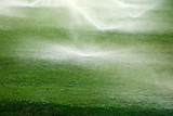 Automatic sprinklers watering grass