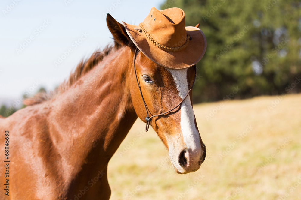 Naklejka premium horse wearing a cowboy hat