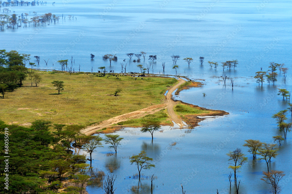 Obraz premium African landscape, bird's-eye view on lake Nakuru