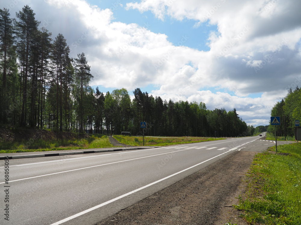 Fototapeta premium asphalt road in the forest