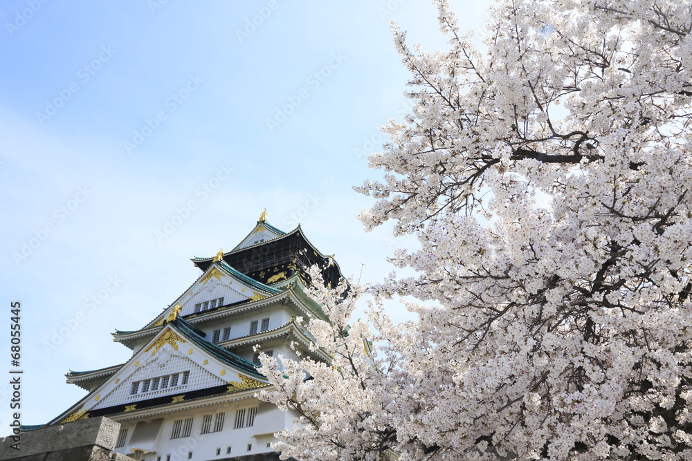 桜と大阪城 桜と大阪城