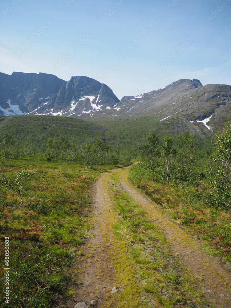 Fototapeta premium road in the mountains