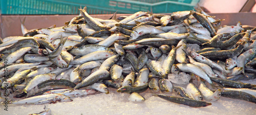 Poissonnerie - Sardines