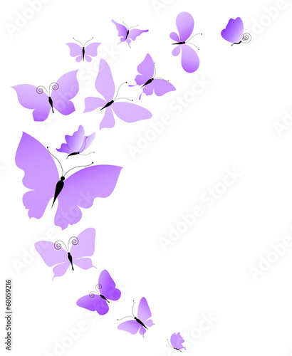 butterflies design