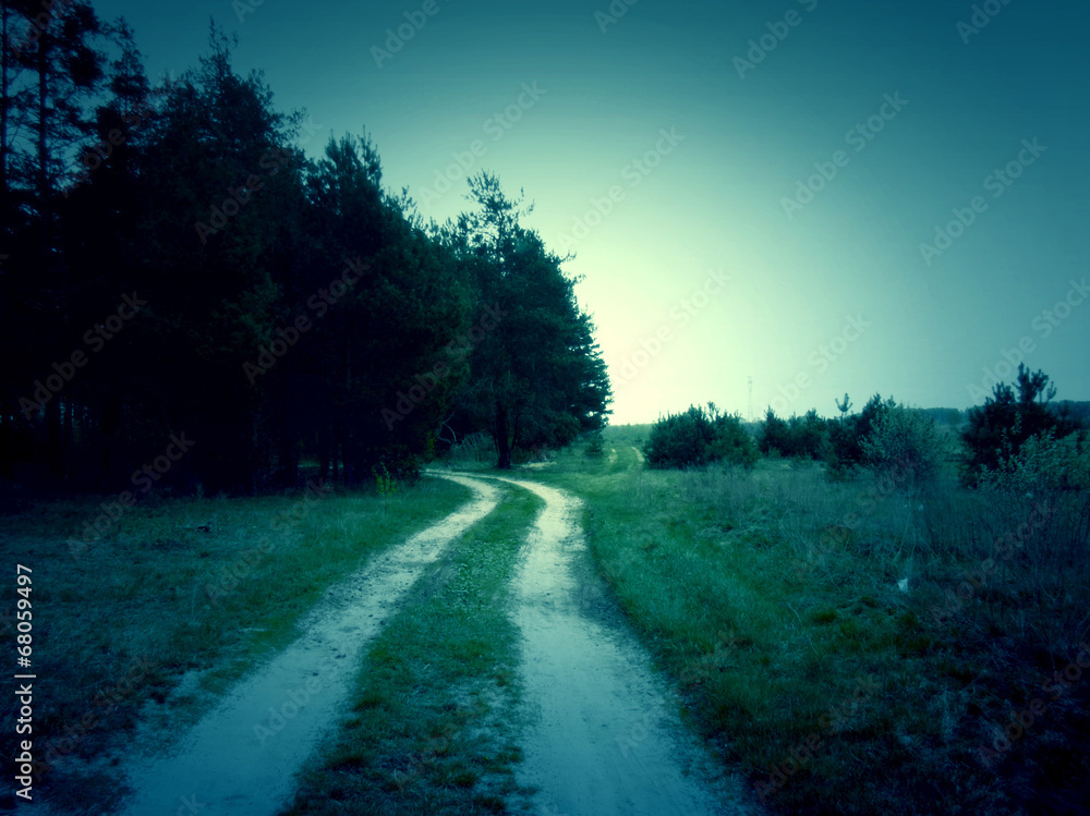 Obraz premium Retro Forest Road