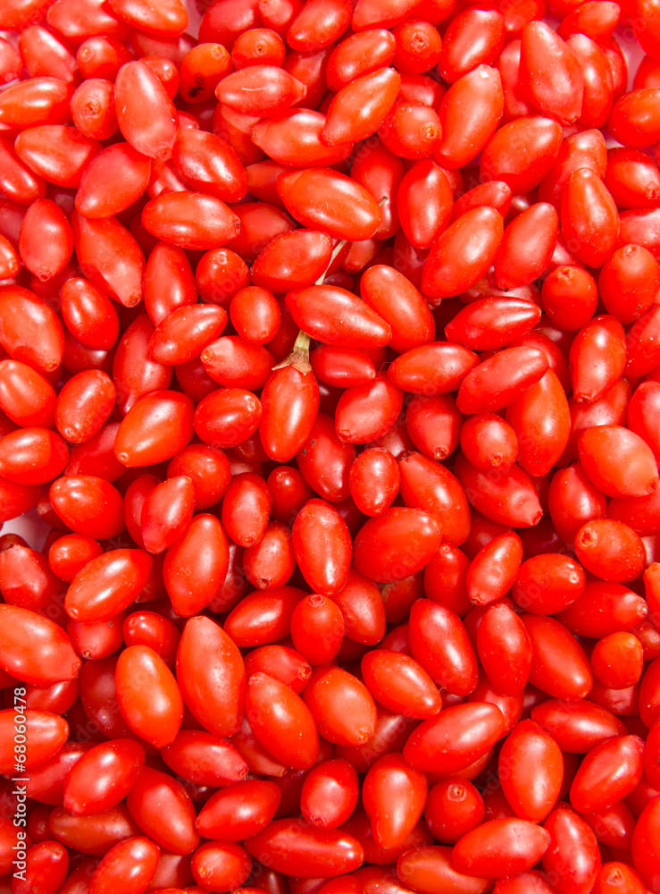 Goji Berries (Wolfberry) background Goji Berries (Wolfberry) background