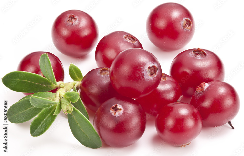 Cranberries with leaves. Cranberries with leaves.
