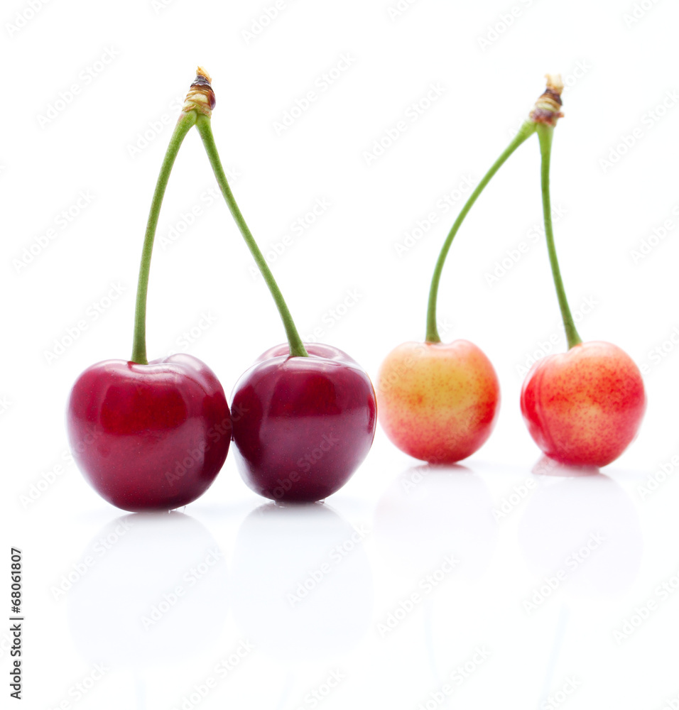 Ripe and Unripe Cherries Ripe and Unripe Cherries