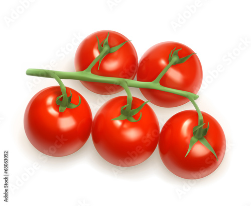 Cherry tomatoes, vector illustration