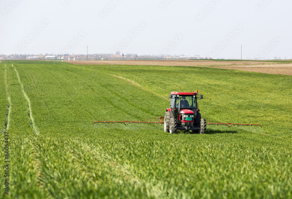 Tractor spraying wheat field with sprayer, Tractor spraying wheat field with sprayer,