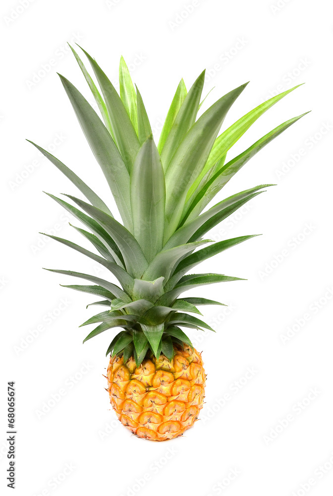 Pineapple slices isolated on white background Pineapple slices isolated on white background