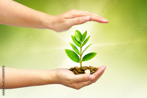 hands holding a young tree growing on coins