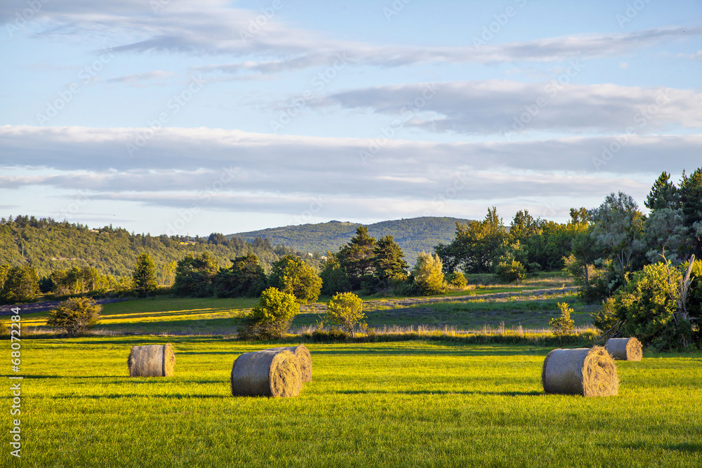 Hay rolls on green field at sunset