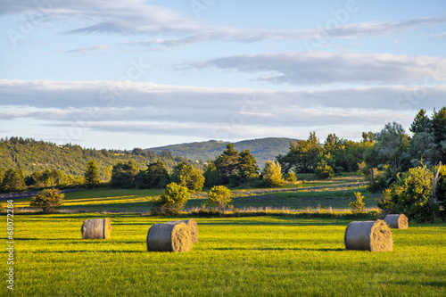 Obraz na płótnie Hay rolls on green field at sunset w salonie