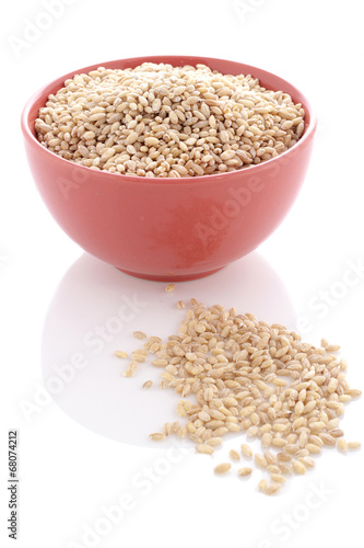 Grain of the wheat and bowl