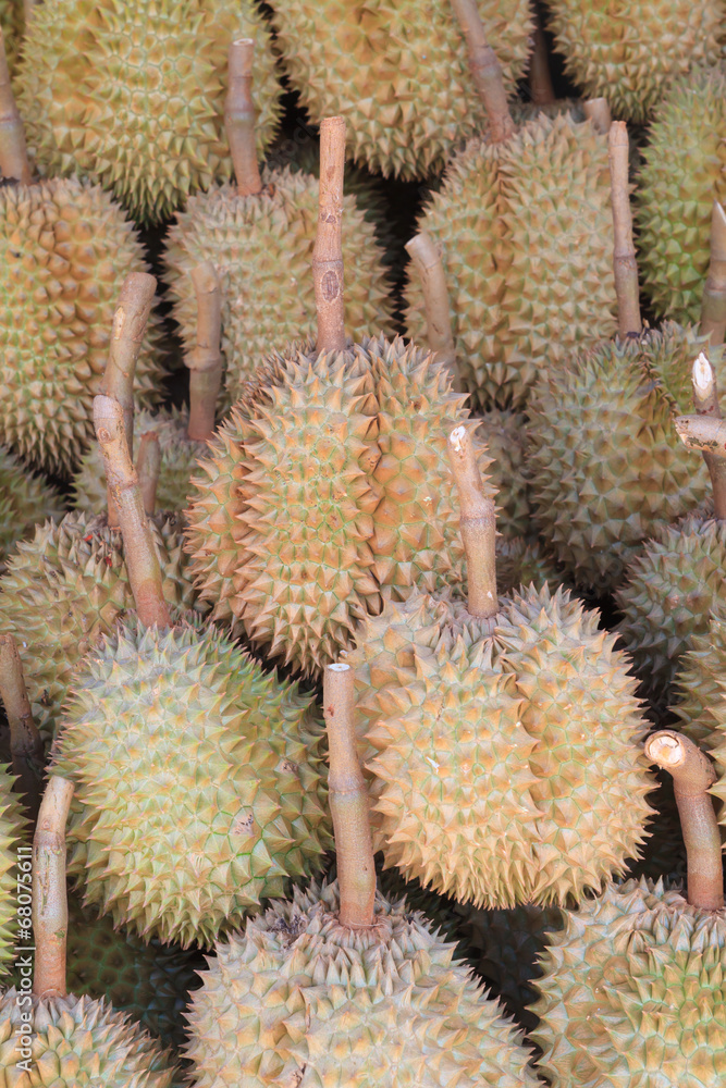 Durians in the market, famous fruit in Thailand Durians in the market, famous fruit in Thailand