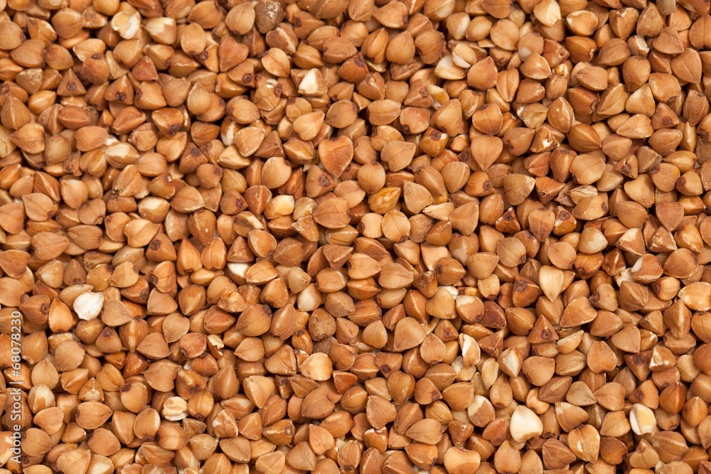 Buckwheat Buckwheat