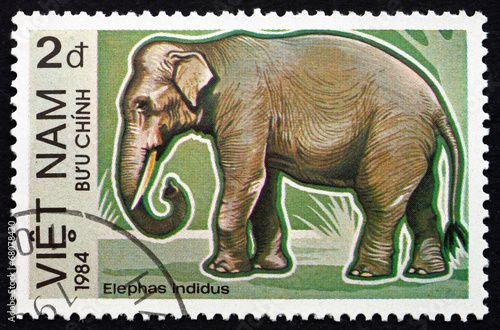 Postage stamp Vietnam 1984 Indian Elephant photo