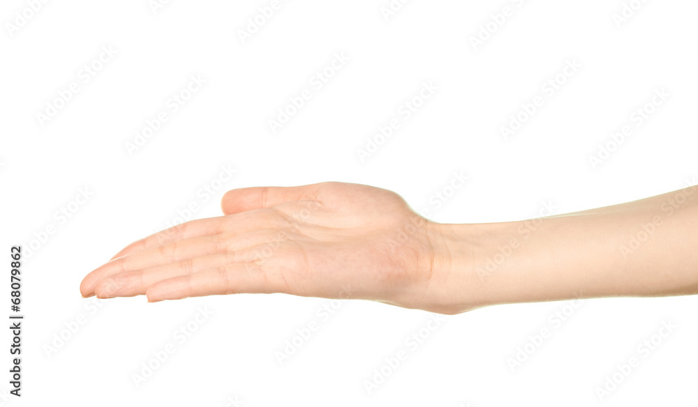 Female caucasian hand gesture isolated Female caucasian hand gesture isolated