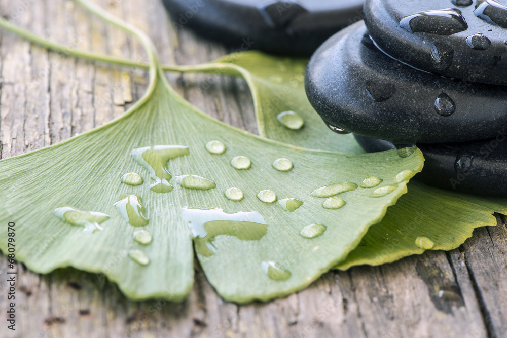 Hotstones Ginkgo Wasser StockFoto Adobe Stock