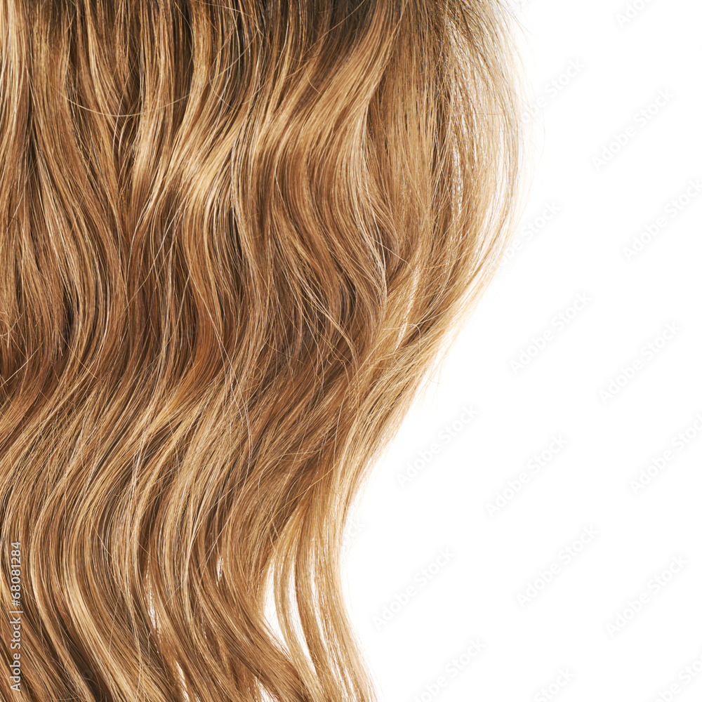 Hair fragment over the white Hair fragment over the white
