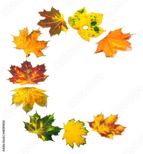 Letter C composed of autumn maple leafs