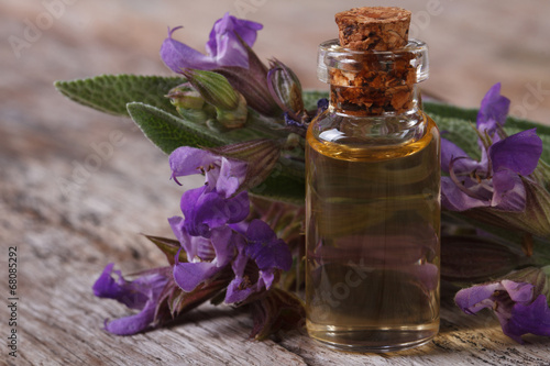 flowering sage and fragrant oil horizontal