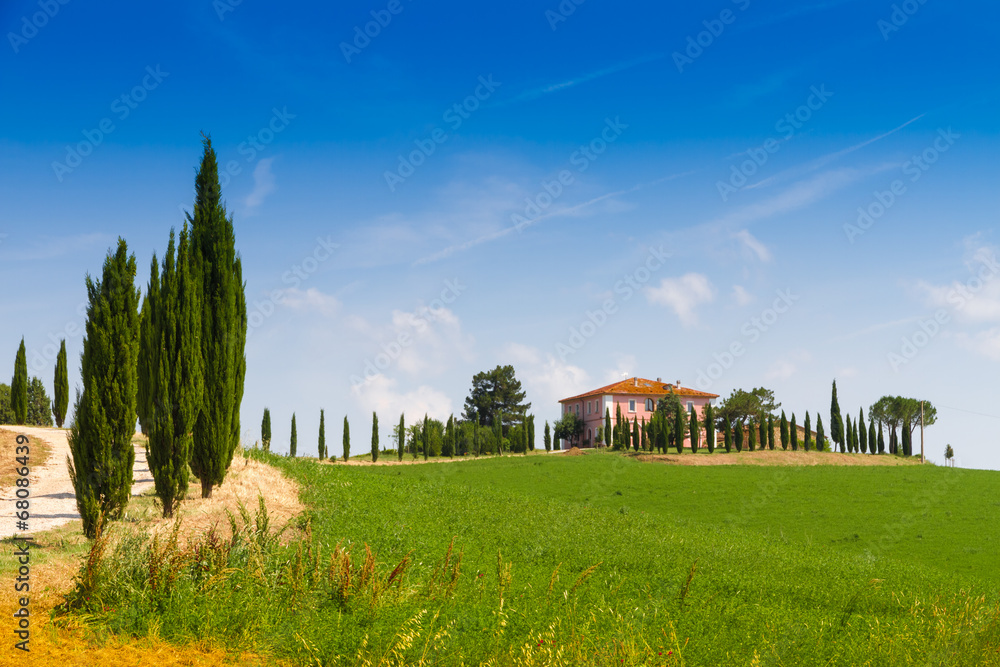 Country house with cypress in Tuscany, Italy