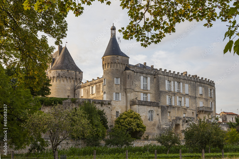 Fototapeta premium Château de Jonzac
