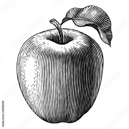 Engraved apple photo