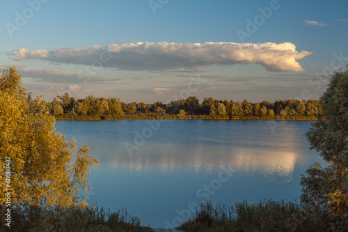 Lake in a wood.