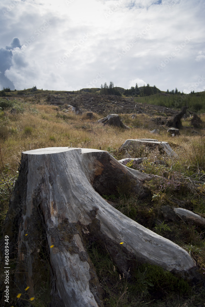 tra ullapool e torridon - scozia #09