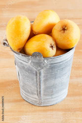 loquat fruit in bucket photo