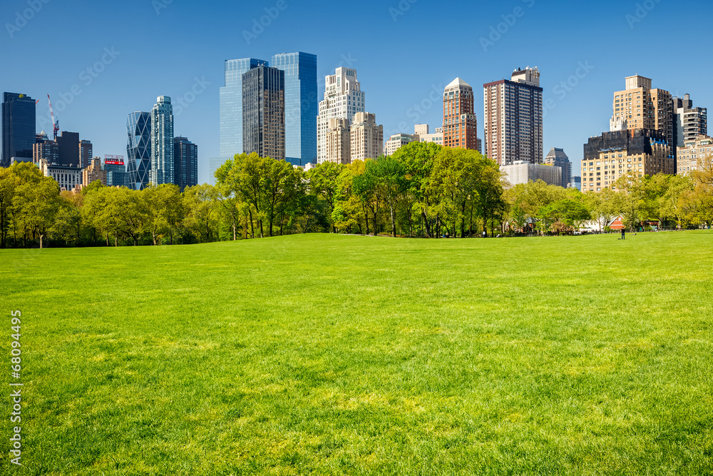 Fototapeta premium Central park, New York