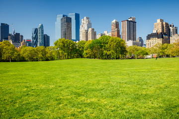 Canvas schilderij Central Park Skyline achter Central Park  © sborisov