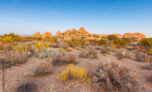 Joshua Tree National Park