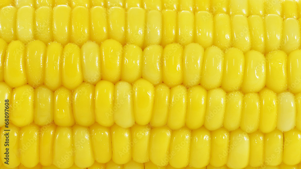 canned corn canned corn