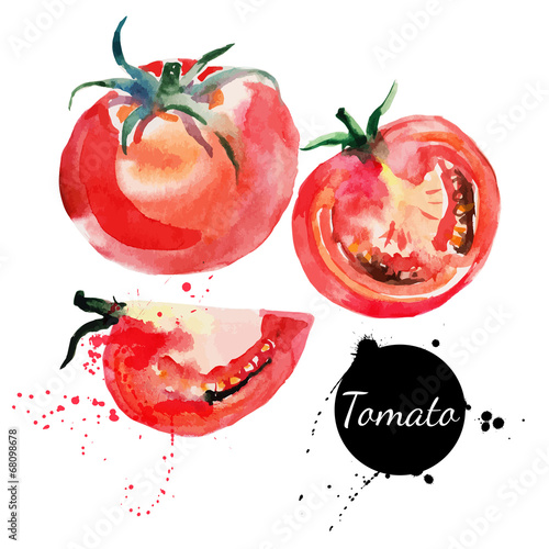 Tomato set. Hand drawn watercolor painting on white background.