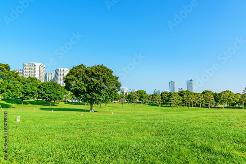 Landscape grass prospects buildings of landmark in clear weather