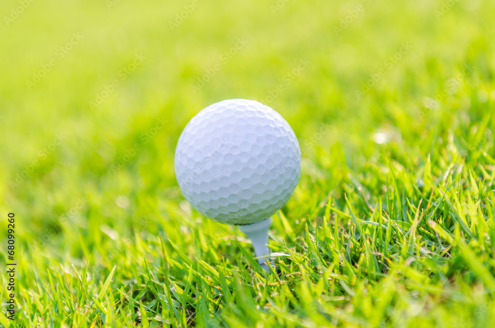 Golf ball on green grass