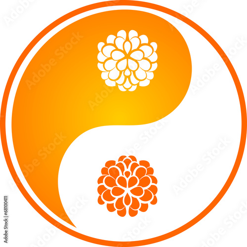 Orange chrysanthemum