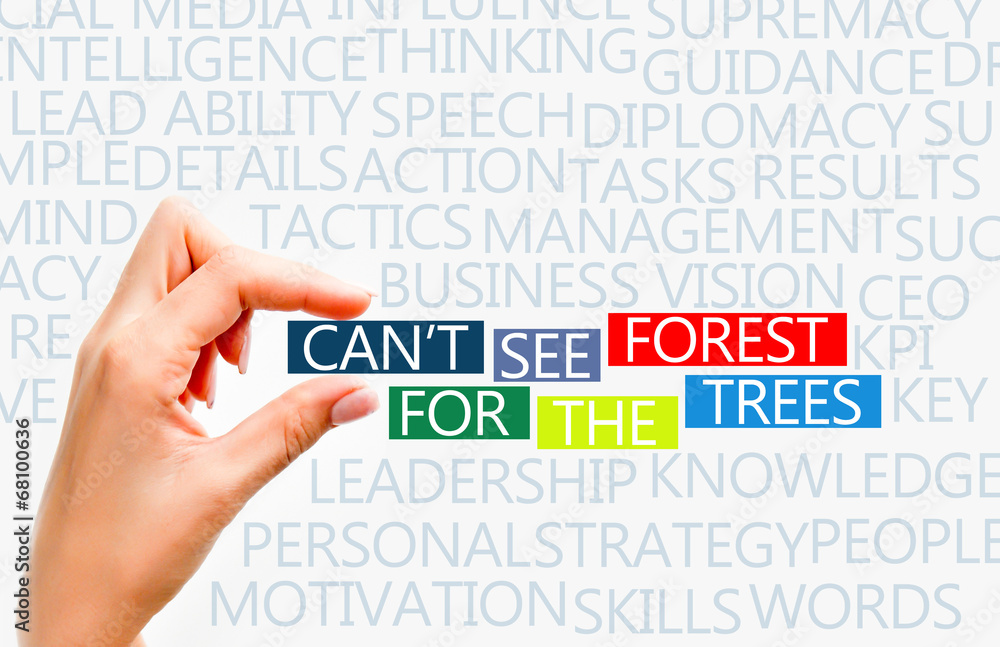 Fototapeta premium Can’t see forest for the trees concept