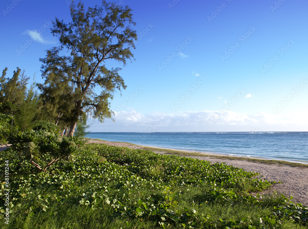 Fototapeta premium Beach in a border of the tropical nature. Mauritius.